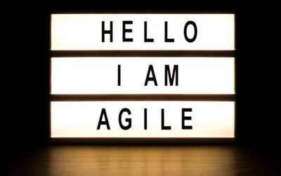 Interview mit Paul Weißhaar: Warum agile Teams so häufig scheitern