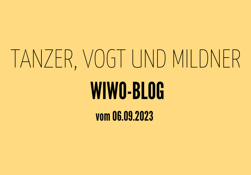 Buchauszug Cornelia Tanzer, Jens Vogt, Jörg Mildner: „Lead now! Wirksam führen im 21. Jahrhundert“